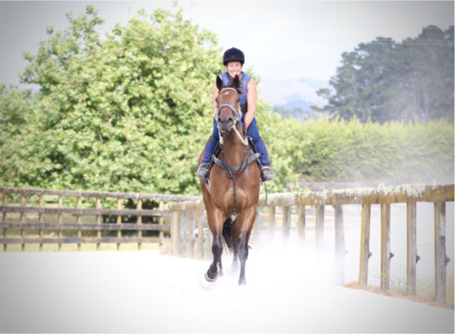 Highview Track Rider