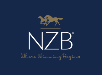 NZB logo