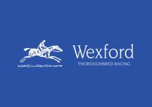 Wexford stables logo