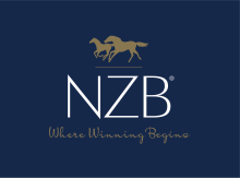 NZB logo