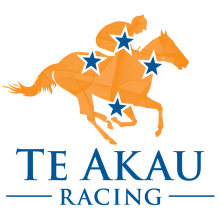 Te Akau logo