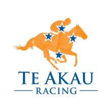 Te Akau logo